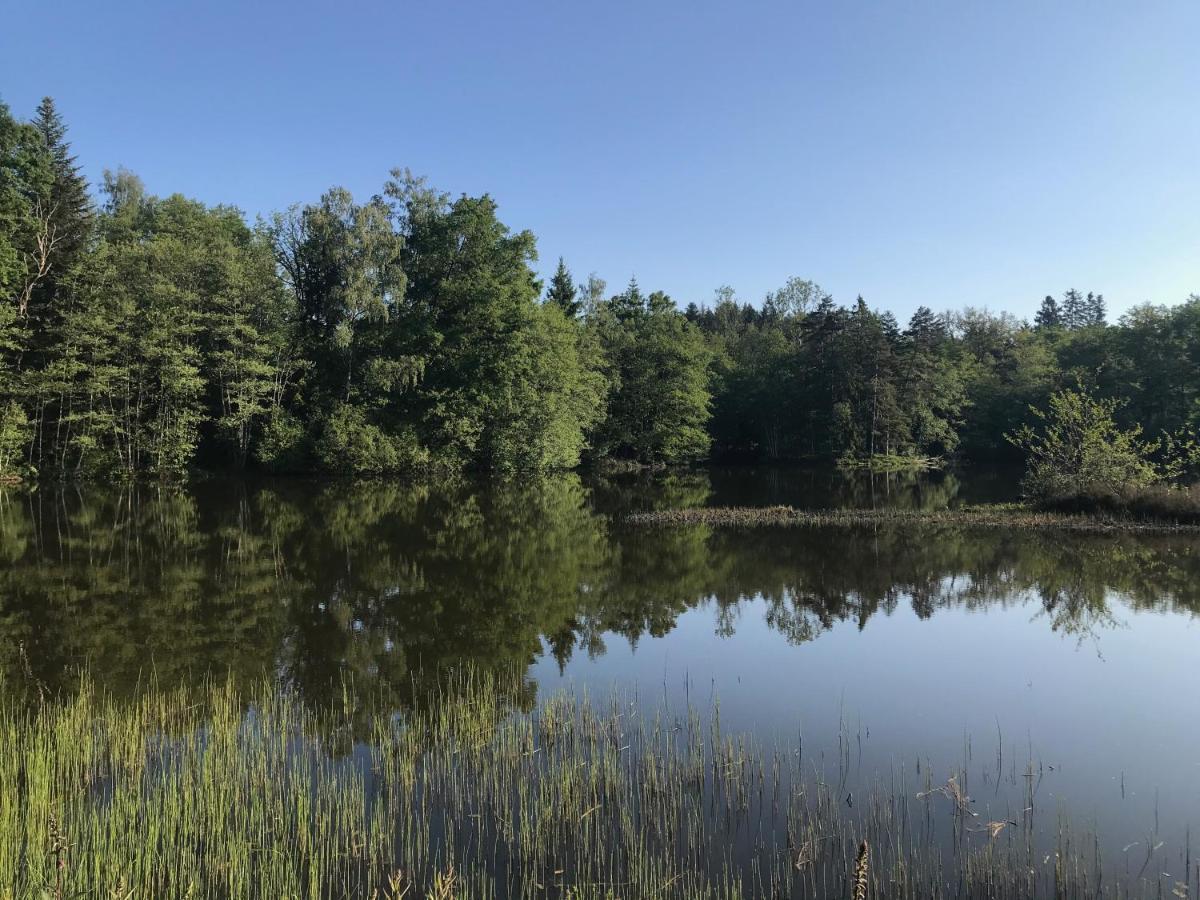 Gite Des Prary Des Mille Etangs Ternuay-Melay-et-Saint-Hilaire Exterior foto