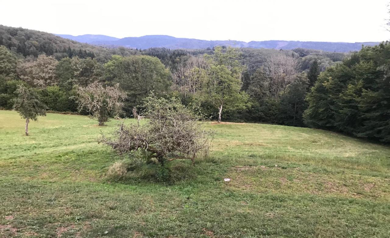 Gite Des Prary Des Mille Etangs Ternuay-Melay-et-Saint-Hilaire Exterior foto